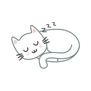 🐾 Why Cats Need a Cozy Bed
